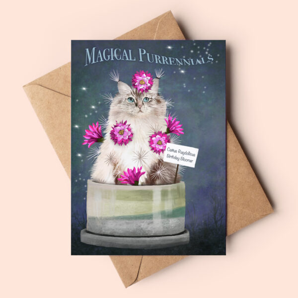 Fantasy ragdoll cat birthday card showing a cute fluffy cat as a cat cactus aka cattus. Sitting in a little flowerpot, the kitty appears to be blooming, its fur arranged as spikes. Small plaque reads 'Cattus Ragdollicus Birthday Bloomer'.