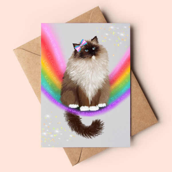 Cute ragdoll cat greeting card featuring a fluffy ragdoll cat surrounded by rainbow, sporting a cute bow with transgender colours. Sweet messages and encouraging words swirling through the rainbow around her. He is one of 5 designs specifically created for Purride!
