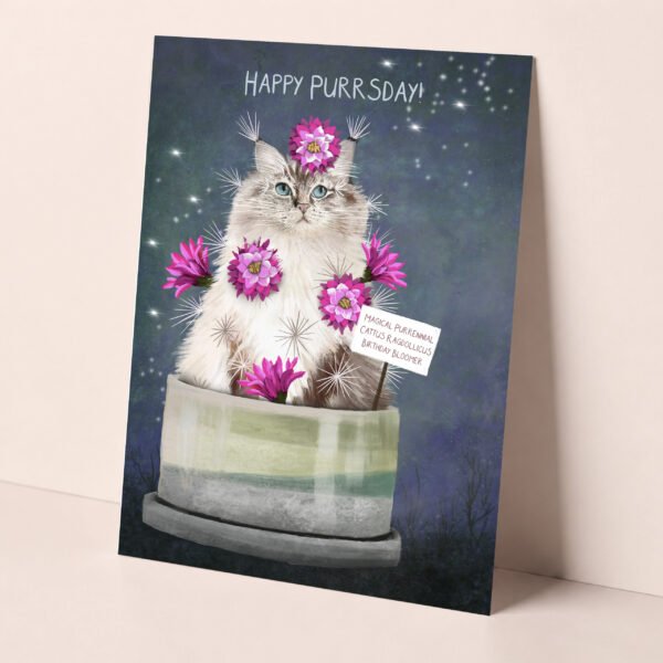 Ragdoll cat "cattus" birthday card. It shows the fluffy cat as an evergreen cactus plant.