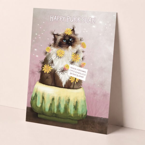 Ragdoll cat "cattus" birthday card. It shows the fluffy cat as an evergreen cactus plant.