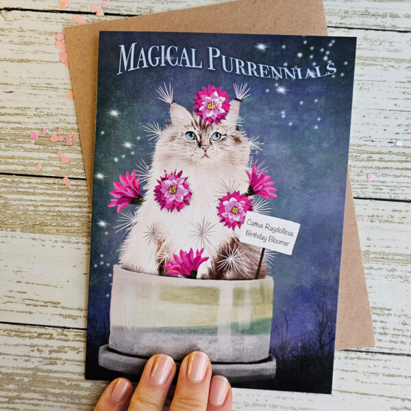 Ragdoll Cat "Cattus" Birthday Card - Image 2