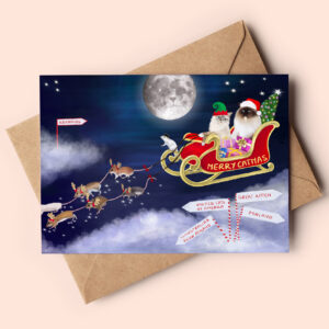 Cute christmas card showing two ragdoll cats sitting in a red sleigh riding through the sky. One is dressed as santa claus one as an elf. Little mice is pulling their sleigh.