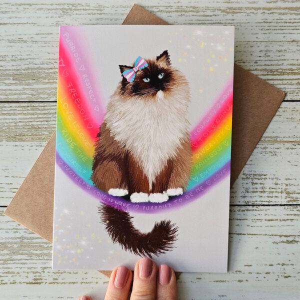 Cute ragdoll cat greeting card featuring a fluffy ragdoll cat surrounded by rainbow, sporting a cute bow with transgender colours. Sweet messages and encouraging words swirling through the rainbow around her. He is one of 6 designs specifically created for Purride!