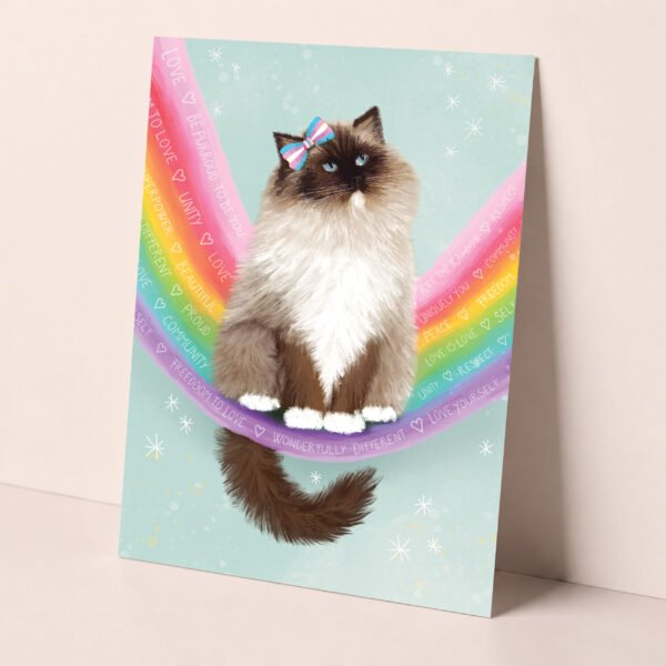 Cat lovers LGBTQ greeting card featuring a fluffy ragdoll cat sitting on a rainbow wearing a bow with transgender colours.