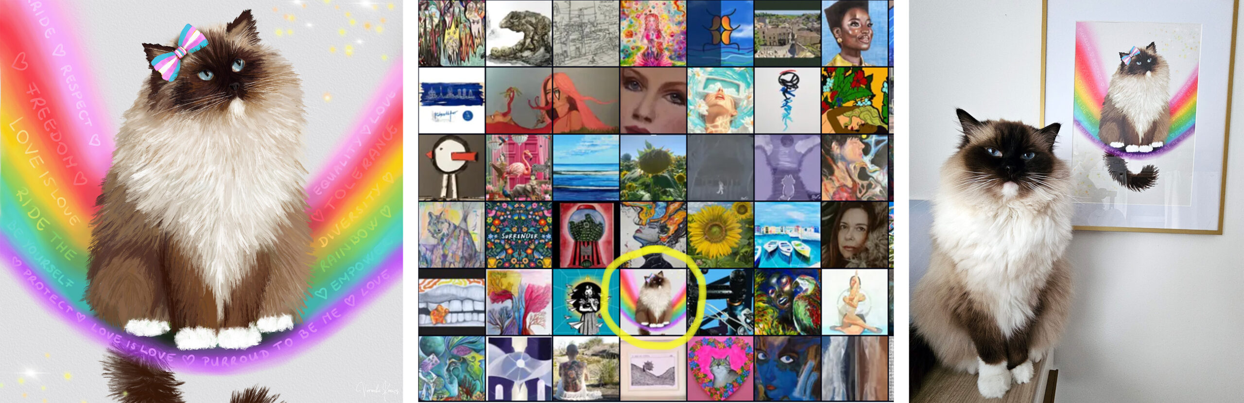 banner image showing a cute ragdoll cat sitting on a rainbow LGBTQ art on the expo metro barcelona exhibition. 