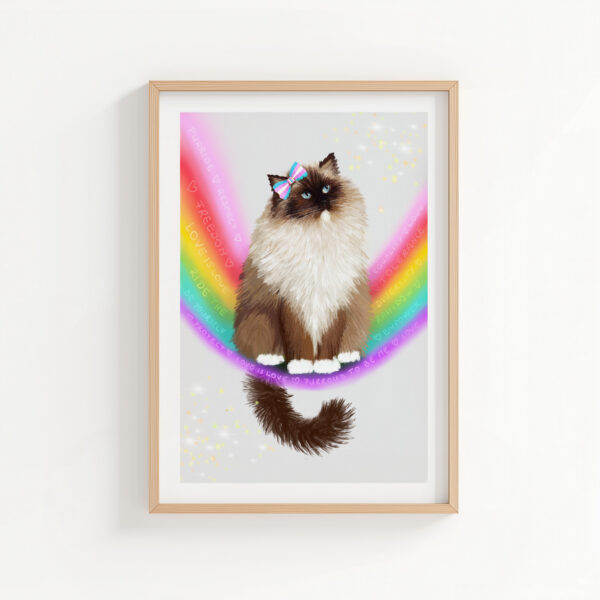 Cute LGBTQ cat art featuring a fluffy ragdoll cat wearing a bow with trans colours.
