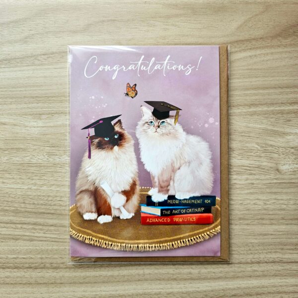 Cute ragoll cat card for graduation