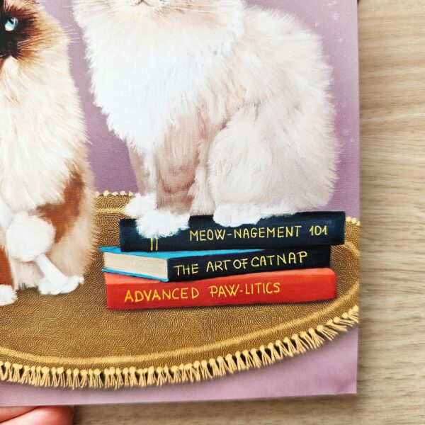 Cute ragdoll cat graduation card.
