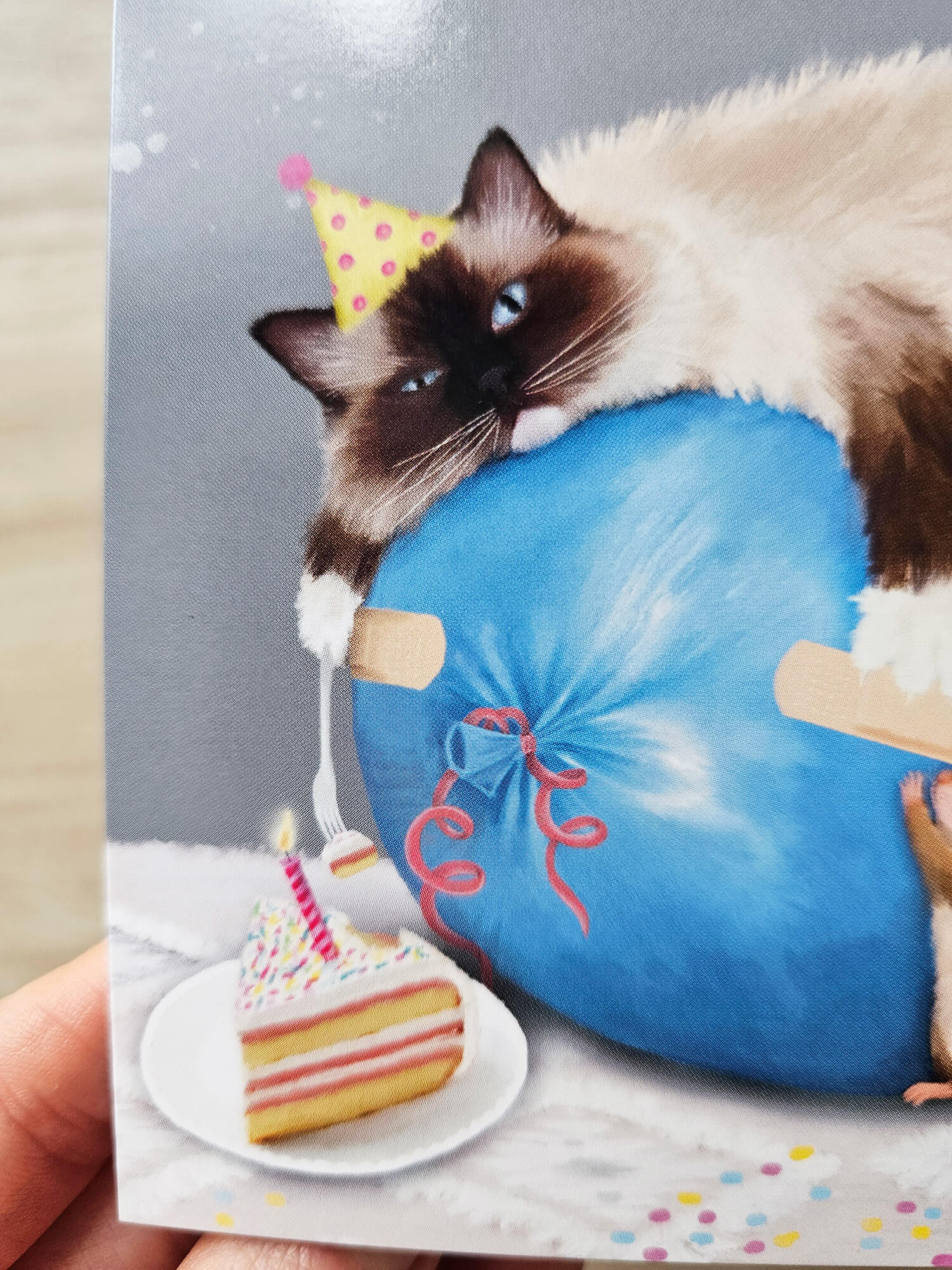 Ragdoll Cat Birthday Card - The 2nd Commandment - Image 3