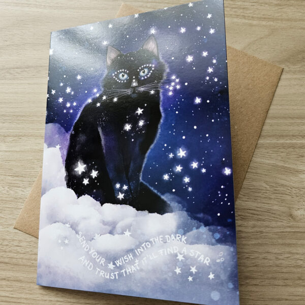 starry starry black cat