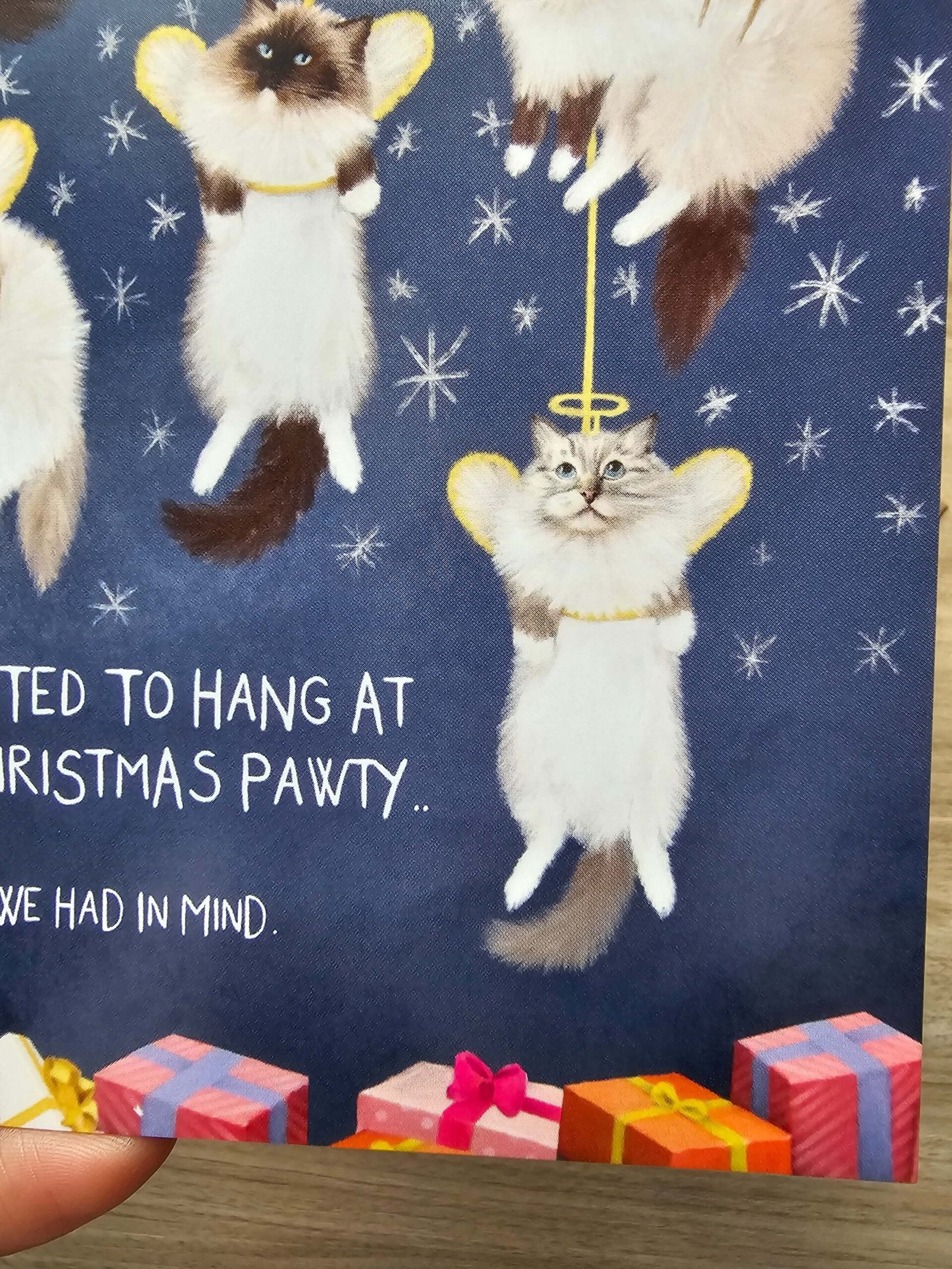Ragdoll Cat Angels Christmas Card - Naughty Kitty Angels - Image 6