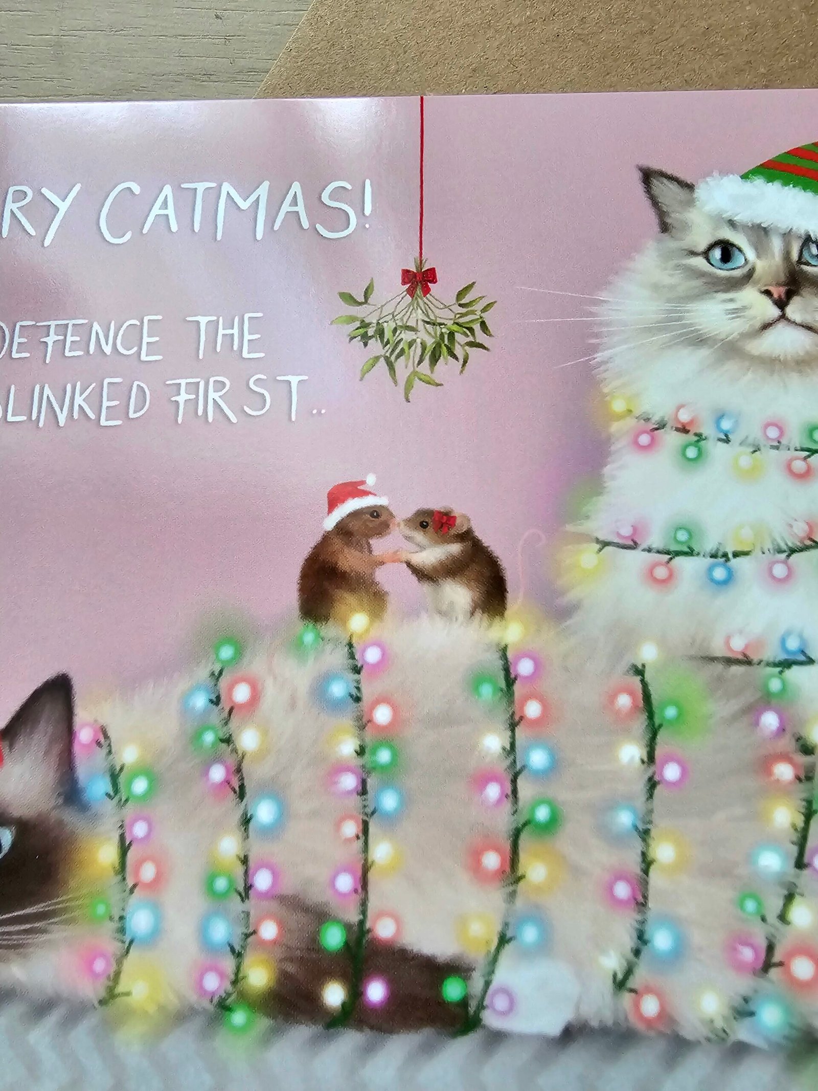 Ragdoll Cat Christmas Card - Tangled in Fairy Lights - Image 12