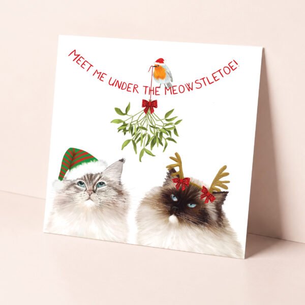 Ragdoll cat christmas card showing two adorable fluffy cats under the mistletoe.
