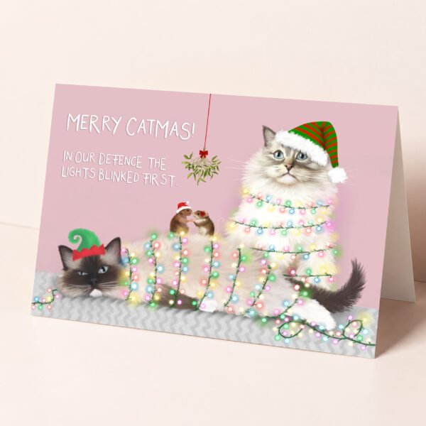 agdoll cat christmas card featuring two adorable cats tangled in fairy lights.